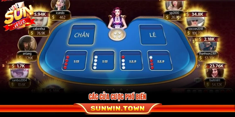 Những loại cửa cược trong xóc đĩa thủy tinh Sunwin 